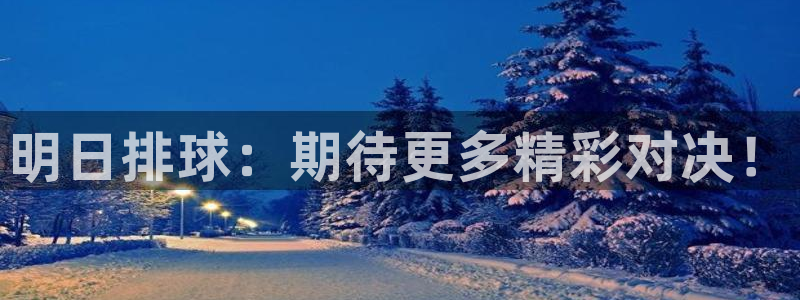  明日排球：期待更多精彩对决！