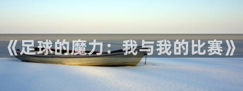  《足球的魔力：我与我的比赛》
