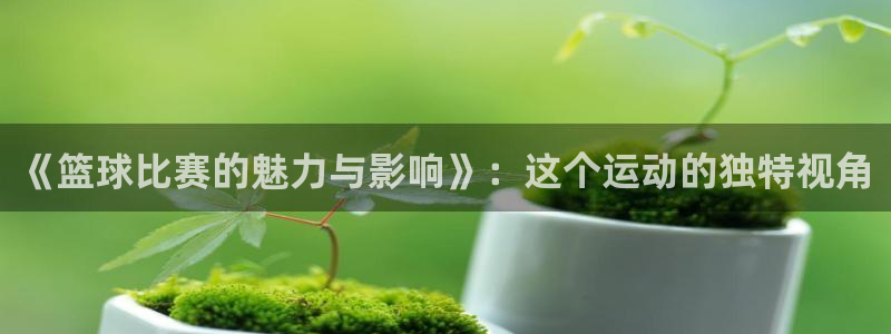 《篮球比赛的魅力与影响》：这个运动的独特视角