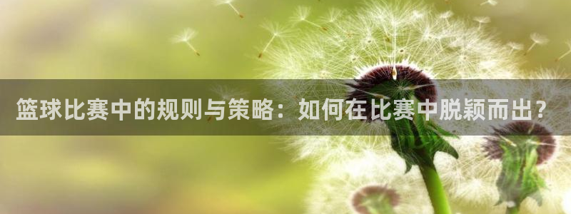  k1体育模拟器：篮球比赛中的规则与策略：如何在比赛中脱颖而出