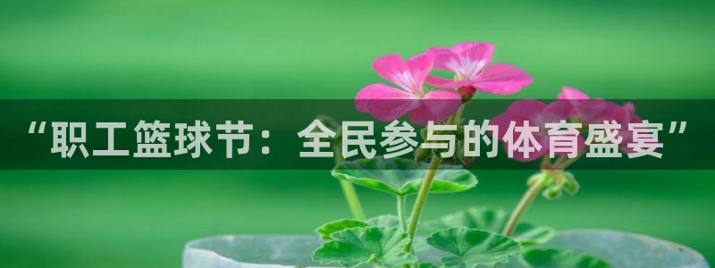  k1体育官网首页：“职工篮球节：全民参与的体育盛宴”