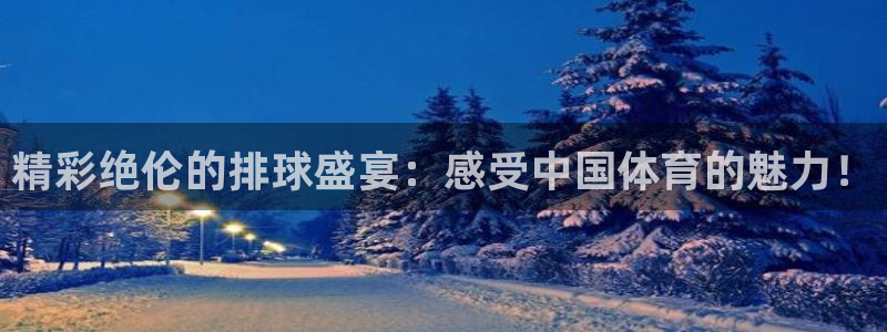K1体育下载app3519：精彩绝伦的排球盛宴：感受中国体育