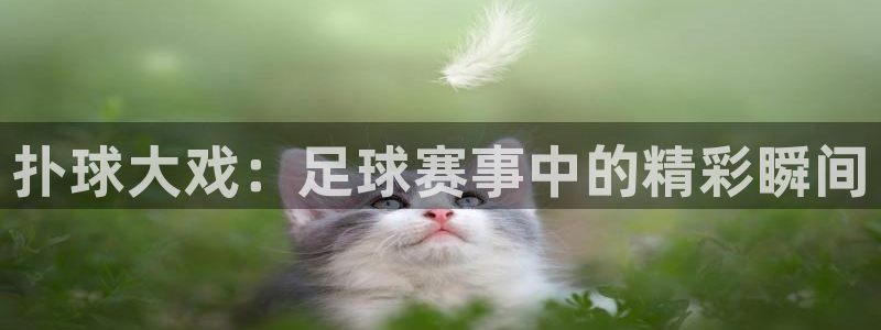 k1体育 十年品牌：扑球大戏：足球赛事中的精彩瞬间