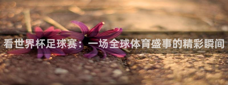  k1 体育：看世界杯足球赛：一场全球体育盛事的精彩瞬间