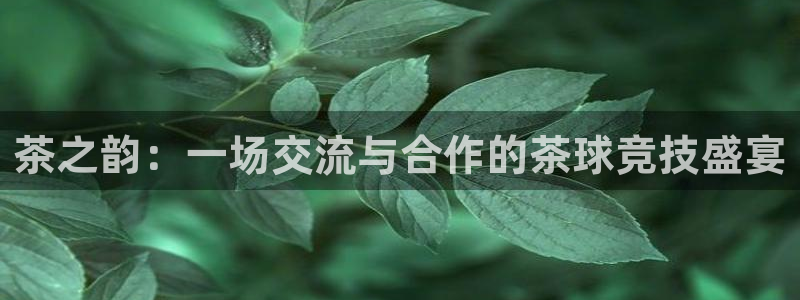  k1体育 十年品牌 值得信赖：茶之韵：一场交流与合作的茶球竞