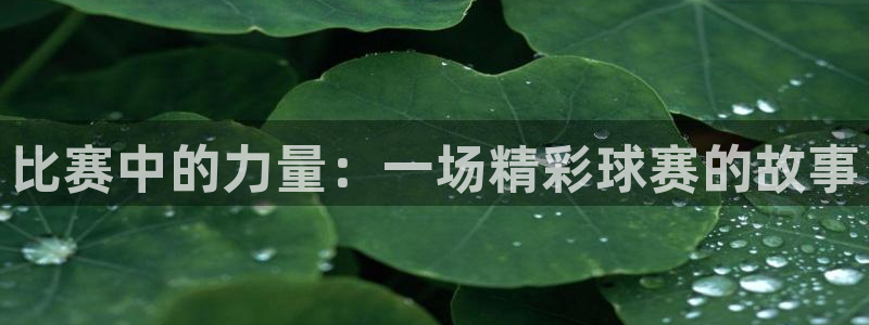 K1体育软件是干啥了：比赛中的力量：一场精彩球赛的故事