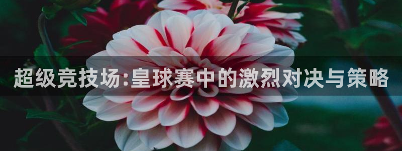 k1体育官网：超级竞技场:皇球赛中的激烈对决与策略